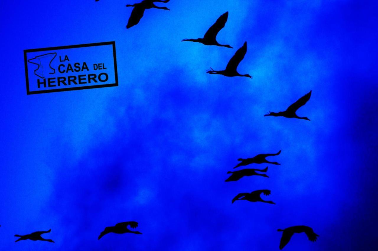 La Casa Del Herrero El Poyo Exteriör bild